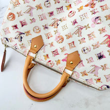 Load image into Gallery viewer, Louis Vuitton Watercolor Aquarelle Speedy 35
