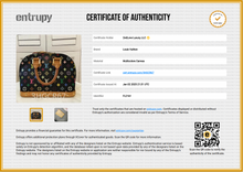 Load image into Gallery viewer, PRELOVED Louis Vuitton Takashi Murakami Alma PM