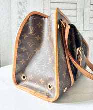 Load image into Gallery viewer, Louis Vuitton Monogram Sac Baxter PM Pet Carrier