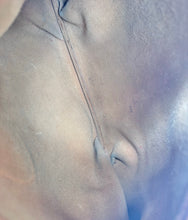 Load image into Gallery viewer, PRELOVED HERMES Clemence Rodeo II Shoulder Bag