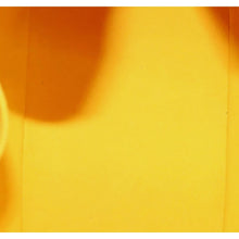 Load image into Gallery viewer, Louis Vuitton Epi Noe BB Citron Yellow