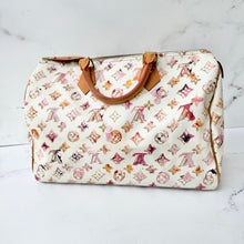 Load image into Gallery viewer, Louis Vuitton Watercolor Aquarelle Speedy 35