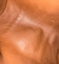 Load image into Gallery viewer, PRELOVED Louis Vuitton Watercolor Aquarelle Papillon