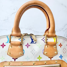 Load image into Gallery viewer, Louis Vuitton Takashi Murakami Multicolor Bundle:  Alma PM and Jane Notebook
