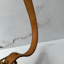 Load image into Gallery viewer, Louis Vuitton Monogram Viva-Cite MM
