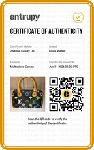 Load image into Gallery viewer, Louis Vuitton X Takashi Murakami Multicolor Noir Monogram Mini Speedy
