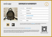 Load image into Gallery viewer, PRELOVED Louis Vuitton Monogram Palm Springs Backpack Mini
